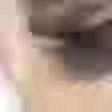 2.webm