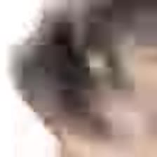 4.webm