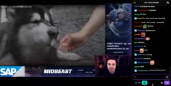 3.mp4
