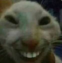 ).JPG