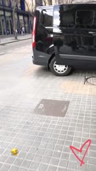 2970811917385507528765872572251073907236854n.mp4