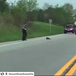 8378658910639699473333174449601221395777486n.mp4