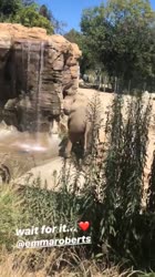 4185349119091707093860414494617684586520248n.mp4