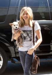Chloe+Grace+Moretz+Chloe+Moretz+Puppy+Airport+bIHbVyU1uBfl.jpg