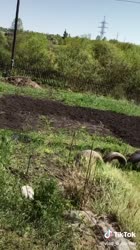 662afa28207d1865f01d52f7253bff65.mp4