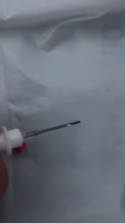 159162814826632231406x720.webm