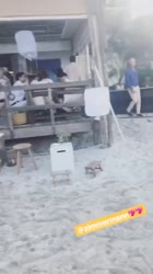 355696999747021627052283483476755527716840n.mp4