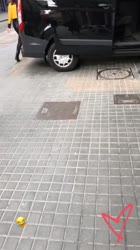 2970811917385507528765872572251073907236854n.mp4