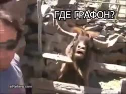 Без названия.mp4