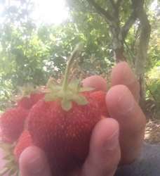 img1592225268.7399259