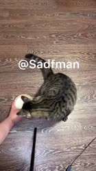 159232236227378116404x720.mp4