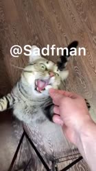 1592545780244651643404x720.mp4