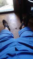 IMG20200703140950.jpg