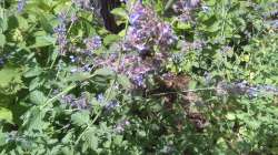 IMG20200703143345.jpg