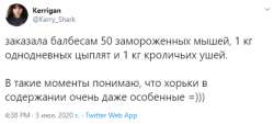 46646433.PNG
