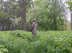 21641246.webm