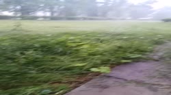 .mp4