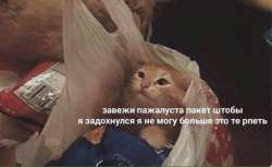 15803847505790.png