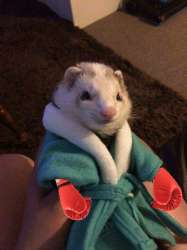 Безымянный234234234677.png