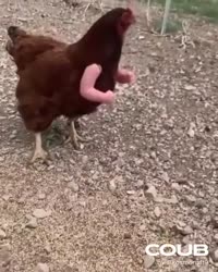 15941245244850.mp4