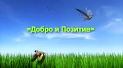 ДОБРОПОШЛО.webm