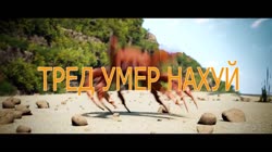 241.mp4