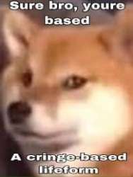 15940511826070.png