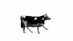 1535704876048.mp4