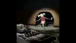 1605836204896.webm