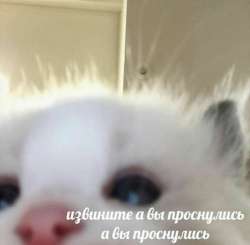 16078458677180.png