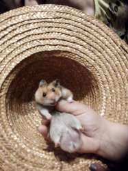 IMG20201127224859.jpg