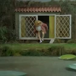 .mp4