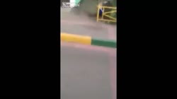 1608234202104.mp4