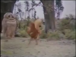 .mp4