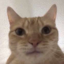 1608287735655.jpg