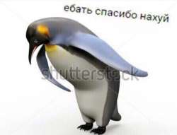 1488958378362.png