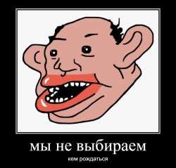 1608311860231.PNG