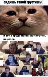 1550906307364.jpg