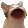 1484303667951.gif