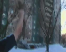 16056969259770.mp4