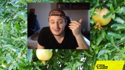 1560548657077.mp4