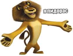 1474577929207.png