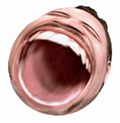 .png
