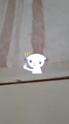 987827181288523091113877258625559394261719n.mp4