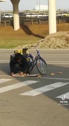 16193615216590.mp4