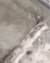 1480054554811.mp4
