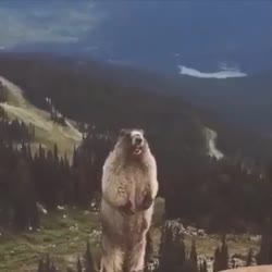 aaaaa.mp4