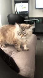 16141103313872.mp4