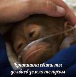 16170461820050.jpg
