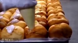 Social (6).mp4